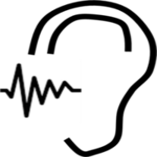 Noise Assessments/Surveys